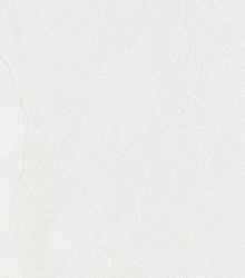 Bernardo Bartalucci Gaga  84284-17