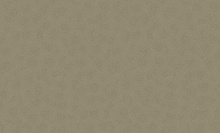 Обои круги в зал Grandeco Secret R145122