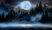 Design Studio 3D Moon Night AG-MN-002